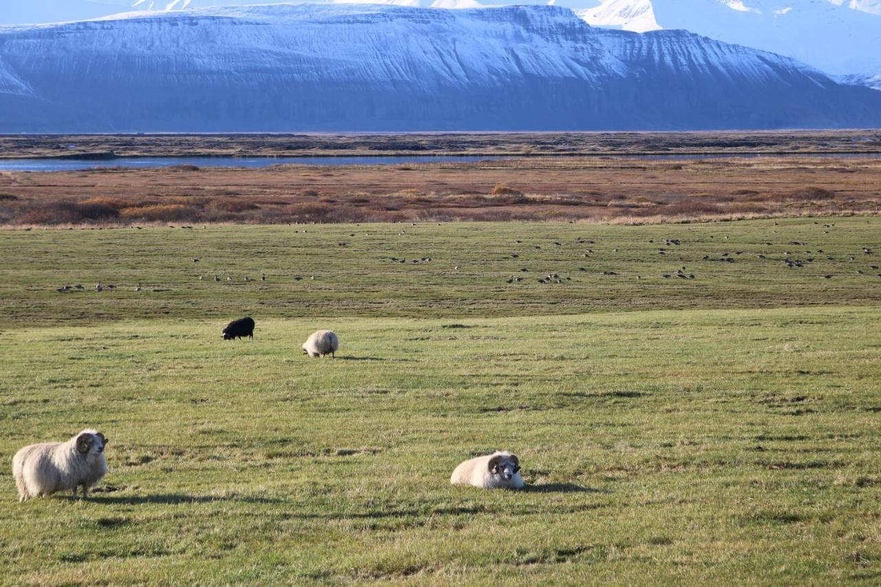 Вилла Laxhus Хусавик Экстерьер фото